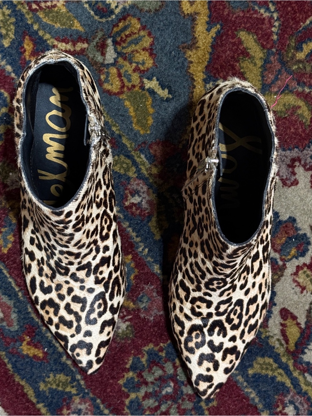 Sam Edelman Leopard Print Pointed Ankle Booties - Black & Tan - Picture 6 of 9